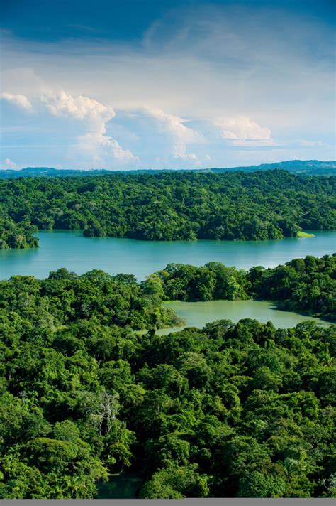 Isla Barro Colorado Instituto Smithsonian De Investigaciones Tropicales