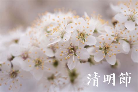 The surprising grave sweeping day ritual you have never heard of 30