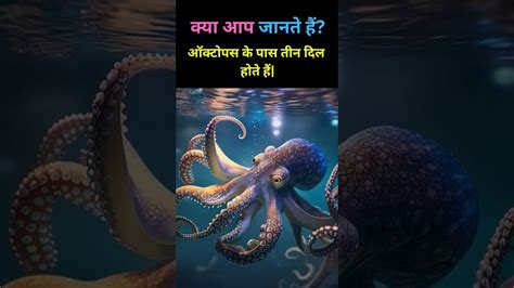 ऑक्टोपस के तीन दिल होते है।😱 Interesting Facts । Octopus । Octopus