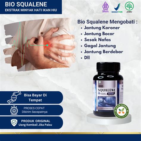 Jual Obat Penyakit Jantung Jantung Koroner Jantung Bocor Jantung