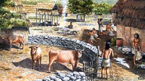 Chapter 1. Neolithic Era and Transition to Agriculture