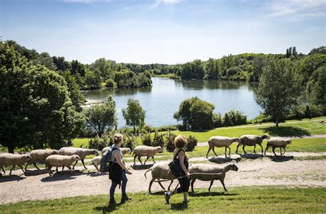 Devenez Berger B N Vole Dans Le Parc De La Courneuve Ha Plus Grand