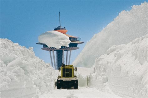 Seattle Can Probably Look Forward To A Snowy Winter Seattle Met