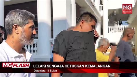 LIVE Harga Sayur Dijangka Naik 25 Peratus Polis Trafik Pau Warga