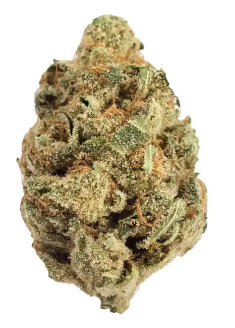 Jelly Rancher Cannabis Strain Information - GrowDiaries