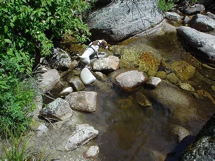 Idaho Hot Springs Lil Dipper Hot Springs