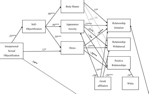 Observed Model Examining Interpersonal Sexual Objectification