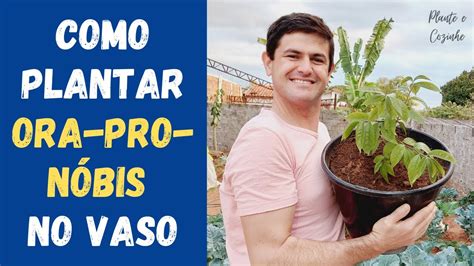 COMO PLANTAR ORA PRO NÓBIS EM VASO DO JEITO CERTO DICAS BENEFÍCIOS E