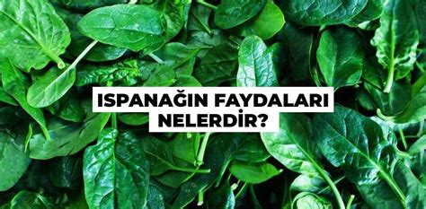 Meyve ve Çeşitleri Faydaları ve Anlamları Aysevle