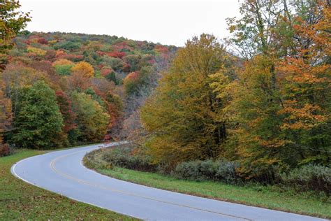 Why You Need to Enjoy the Cherohala Skyway for a Fall Drive - Exploring Chatt