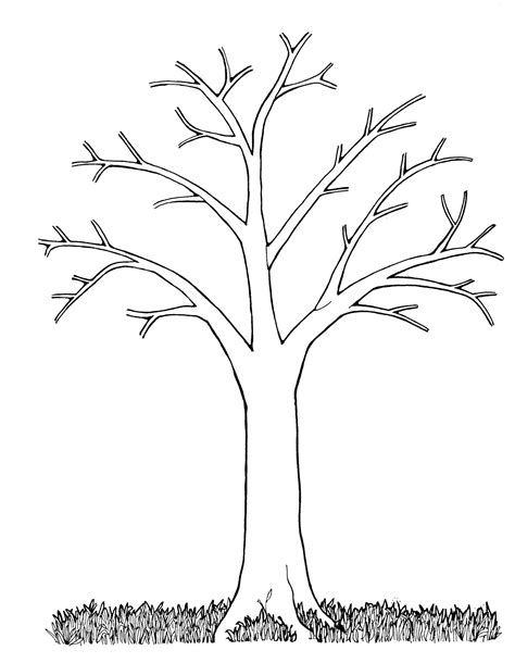 Arbre Sans Feuille Dessin Nouveau Photos Coloriage Arbre Sans Feuille