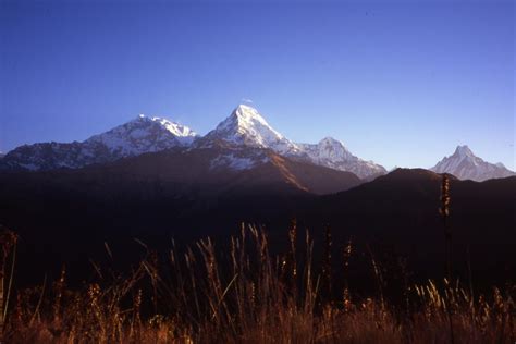 Night Ghorepani Poon Hill Trek From Pokhara