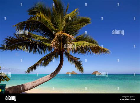 Lanikai Beach, Mokulua Islands, Kailua, Oahu, Hawaii Stock Photo - Alamy