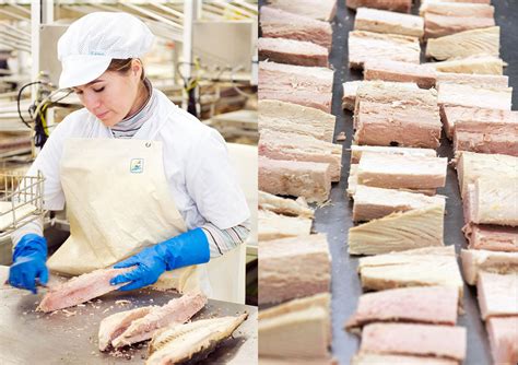 The Production Process Of Canned Tuna Arroyabe