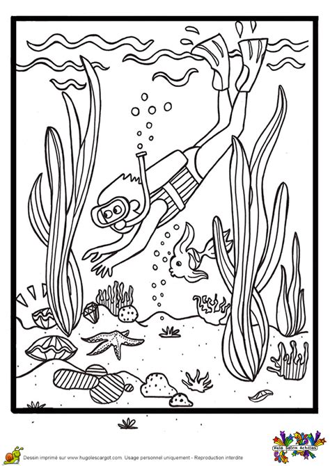 Coloriage plongée sous marine