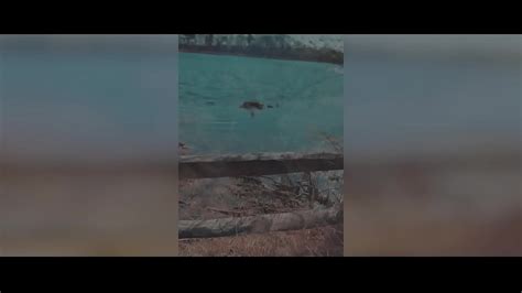 DIVINE SINNERS HOT DUTCH MILF DANIQUE SINNERS FUCKING OUTDOORS XNXX