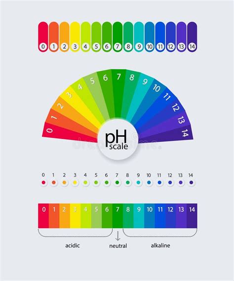 PH Scale Chart For Acid And Alkaline Solutions Acid Base Balance