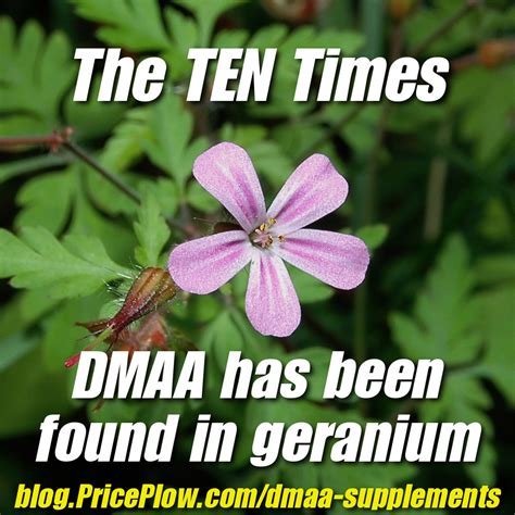 The Ten (Actually 11!) Times DMAA was Found in Nature (in Geraniums)
