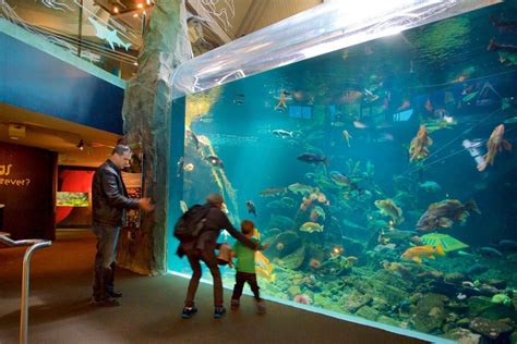 ¿qué Ver En El Acuario De Vancouver Tips Para Tu Viaje