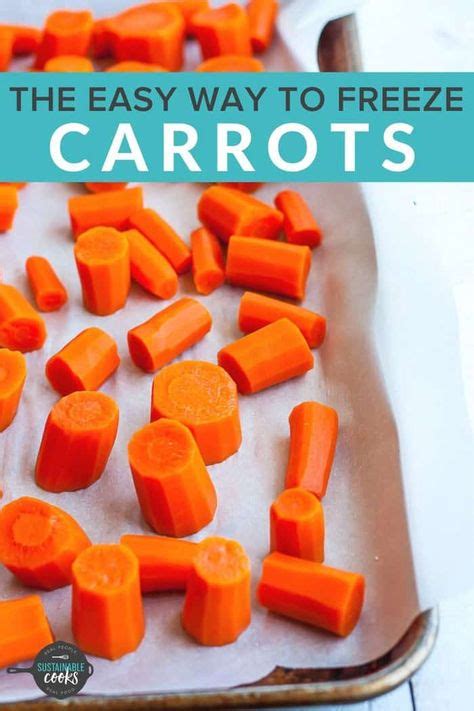 Top Freezing Carrots Ideas And Inspiration