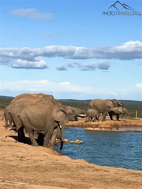 Südafrika Garden Route genaue Tour Tipps alle Highlights