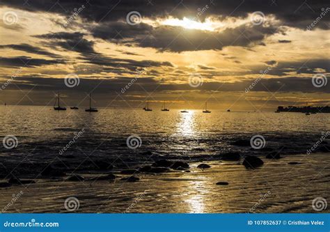 Butterfly Beach Sunset Winter Day Stock Image - Image of winter, waves: 107852637