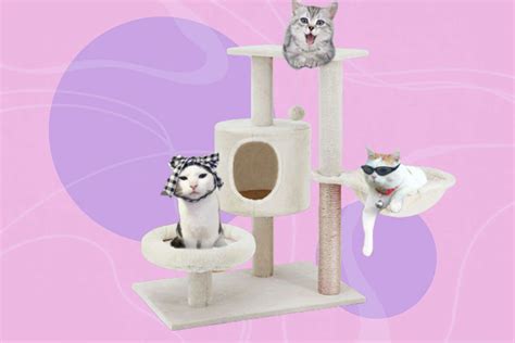 This luxe cat tree scratching post is at its lowest price in 30 days