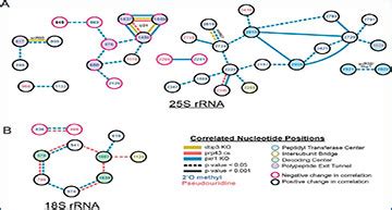 RNA Sequencing In Situ RNA Seq Blog