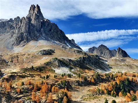 Pegunungan Alpen Pohon Gunung Foto Gratis Di Pixabay Pixabay