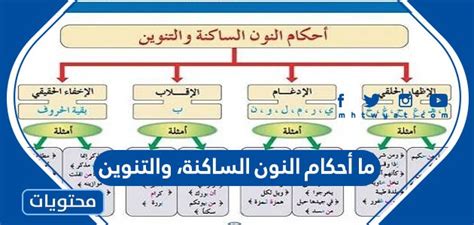 ما أحكام النون الساكنة، والتنوين موقع محتويات