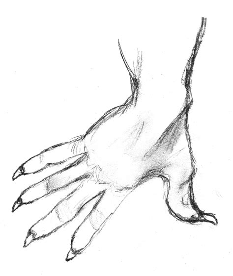 Claw Hand Drawing at GetDrawings | Free download