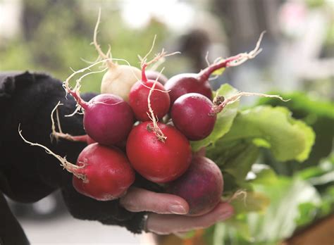 Asheville City Market Has A New Location The Laurel Of Asheville