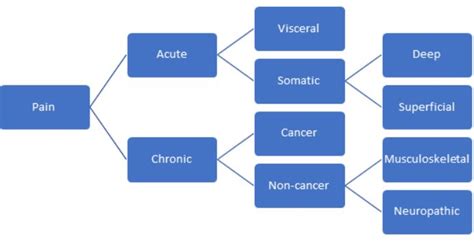 Nursing Concept Map For Acute Pain - Corina Charmaine