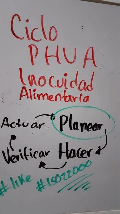 Planear Hacer Verificar Y Actuar Iso 22000 Circulo De Calidad Ciclo Planear Hacer Verificar