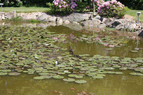 Kontakt - Better-flow