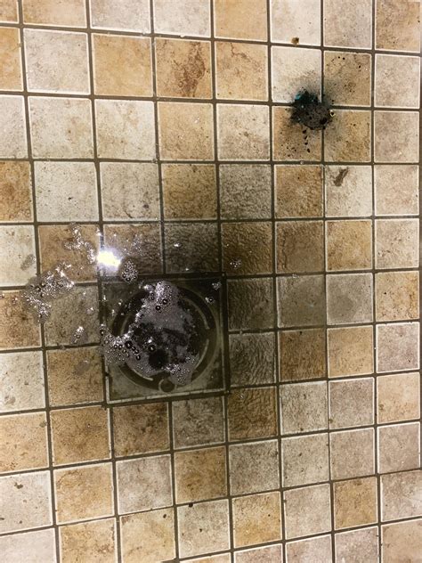 Hi! I bought a house and my shower drain has never really drained. I