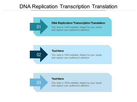 Dna Replication Transcription Translation Ppt Powerpoint Presentation