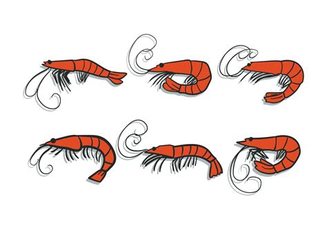 Prawns Vector Set Vector Art At Vecteezy