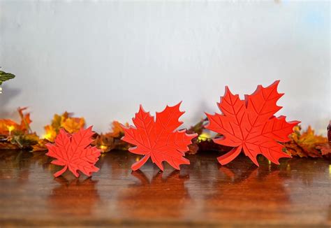 Maple Leaf 5 Pack Colorful Home Autumn Decor Fall Farmhouse Etsy