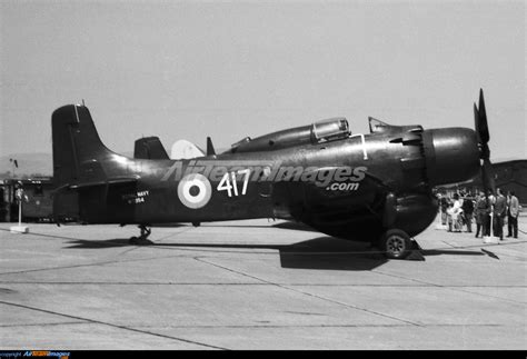 Douglas Skyraider Aew1 Large Preview