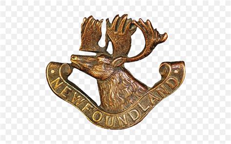 Royal Newfoundland Regiment Museum Beaumont Hamel Newfoundland Memorial