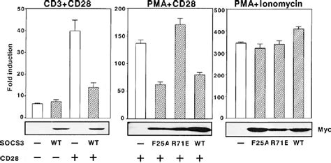 Figure From A Role Of Suppressor Of Cytokine Signaling Socs Cis