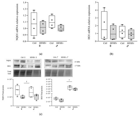 Cells Free Full Text Sex Differences Affect The Nrf2 Signaling