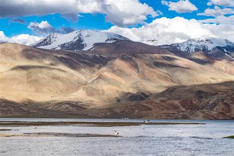 Landscape Around Tso Moriri Lake in Ladakh, India Stock Photo - Image ...