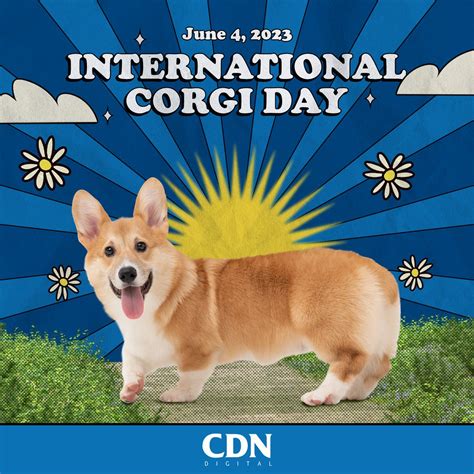 CDN Digital On Twitter There Are No Bad Days When You Come Home To A