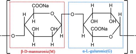 Chemical Structure Of Sa With β D Mannuronic Acidm And α L Guluronic Download Scientific