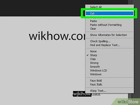 3 Simple Ways to Cut and Paste on Photoshop - wikiHow