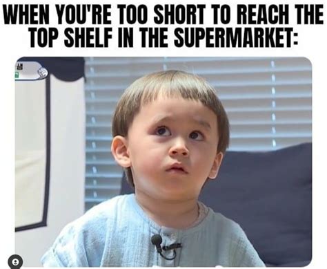 23 Short People Memes That Will Have You Rolling On The Floor The Xo