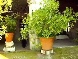 Prisca Nell Porn Videos Porn Star Sex Scenes Xhamster