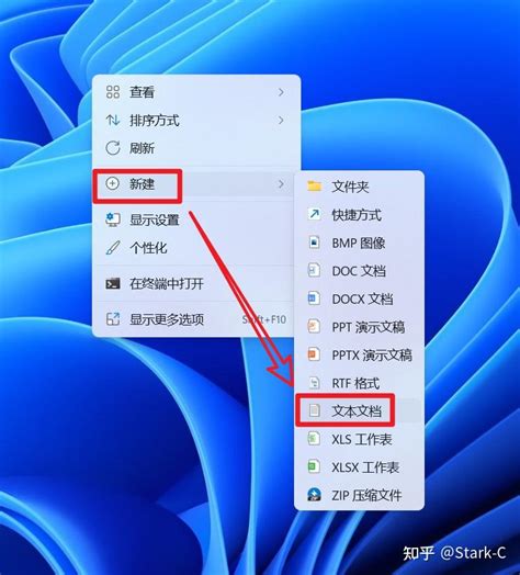 如何在Windows11中启用IE浏览器 知乎